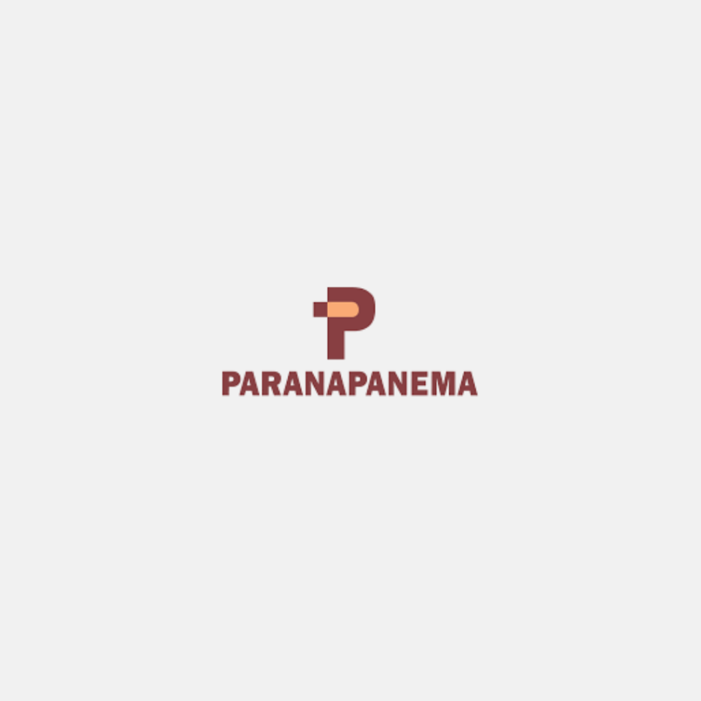 PARANAPANEMA CASE APSIS