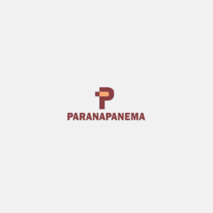 PARANAPANEMA CASE APSIS