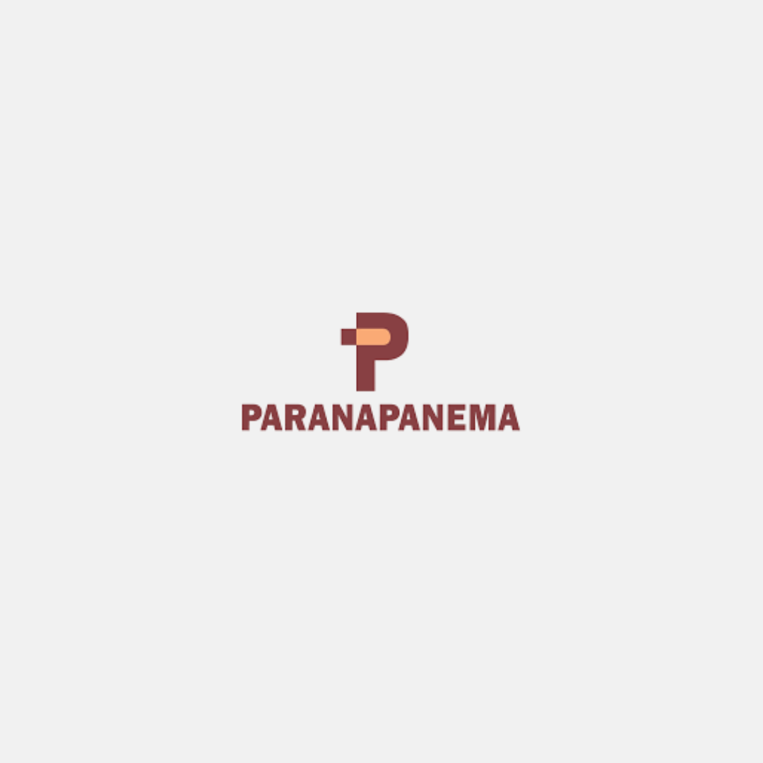 PARANAPANEMA CASE APSIS